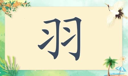 帶羽的名字|帶羽字的名字